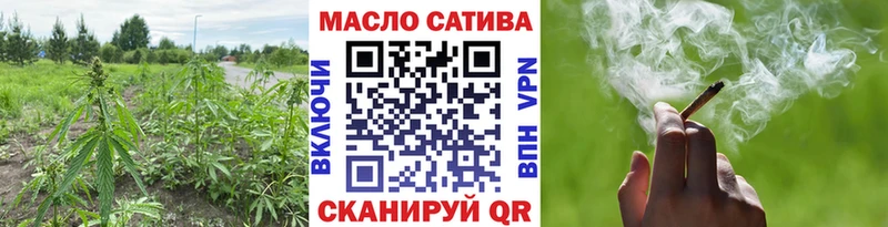 Купить закладки  Грозный  Дистиллят ТГК вейп 