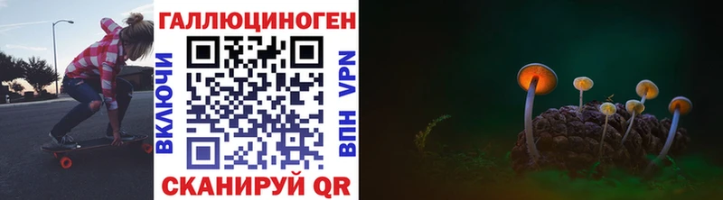 Псилоцибиновые грибы мицелий  Купить закладки  Грозный 